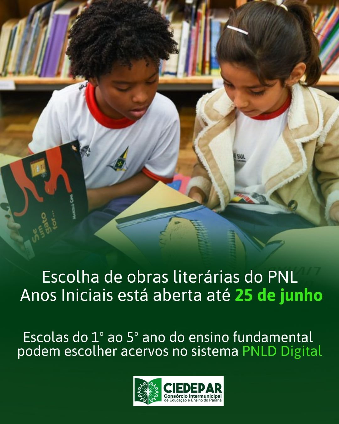 Escolha de obras literárias do PNLD Anos Iniciais está aberta até 25 de junho